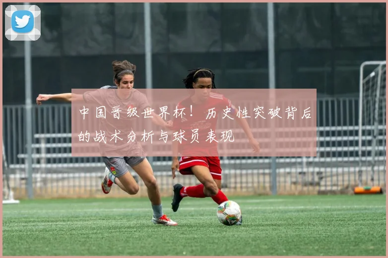 中国晋级世界杯！历史性突破背后的战术分析与球员表现
